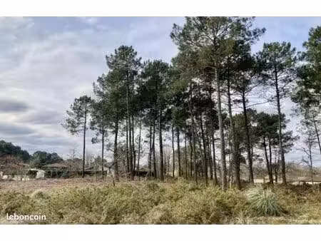 terrain 600 m² brach