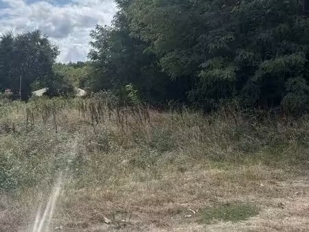 le pian médoc 33290 terrain boisé de 1100 m² avec accès privatif de 30 m de long zone pavi