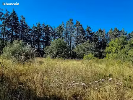 terrain 336 m² pouzols