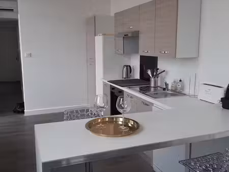 appartement saint étienne -metz