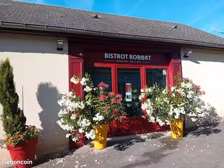 recherche repreneur bar- restaurant