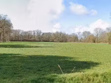 terrain 10000m2