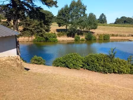 vends terrain de loisir composé d'un étang et d'un bois sur louvigne du desert
