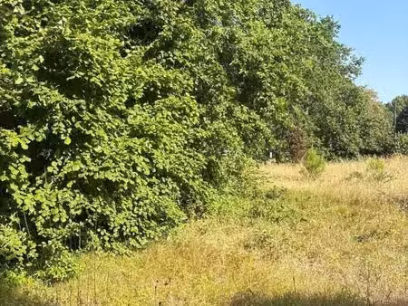 terrain 541 m² gradignan