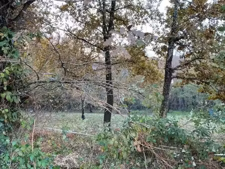terrain 600 m² le teich