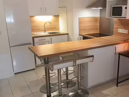 appartement tours centre