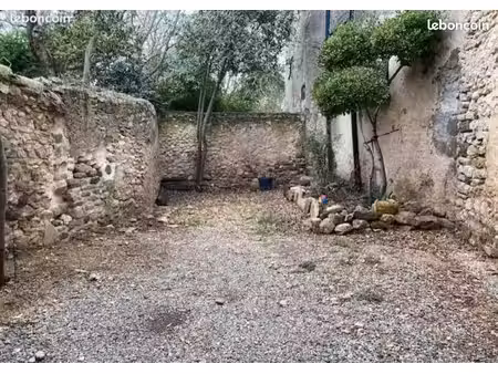 maison avec jardin