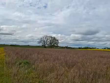 terrain agricole