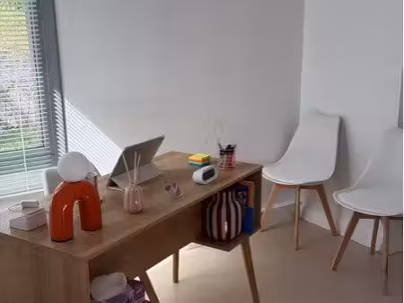 location local professionnel