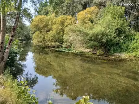 2 euros / m² – coup de pêche au bord de l'indre + peupliers à exploiter