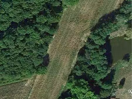 terrain agricole