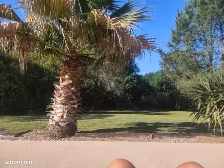 coup de cœur entre forêt et océan?