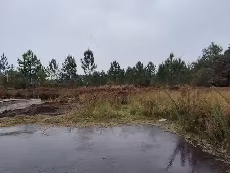 terrain à bâtir de 800 m² à parentis-en-born (40)