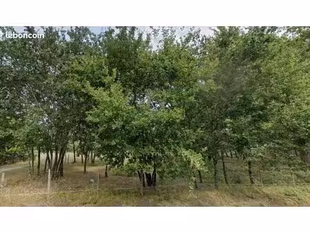 terrain 808 m² gujan mestras