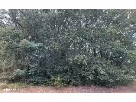 terrain 1 098 m² magescq
