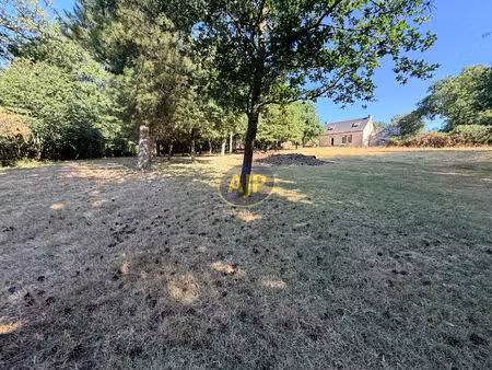 ensemble maison  dépendances sur 1 hectare 4 de terrain
