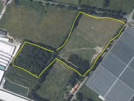 vente pré et bois sur 5ha