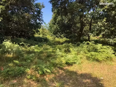 terrain 500 m² labenne