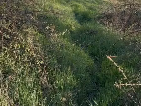 terrain 21 869 m2