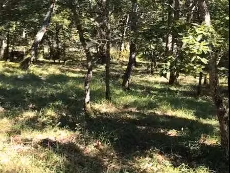 terrain 2500 m2