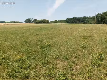 terrain agricole