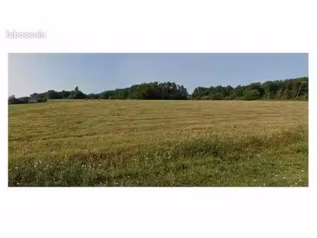 prairies