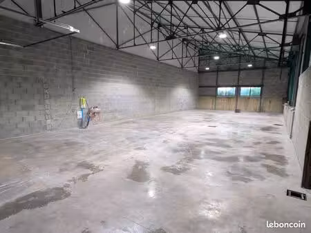 locaux d'activité  250 m²
