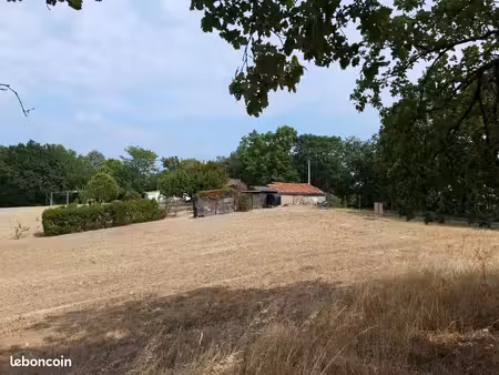 terrain avec cu