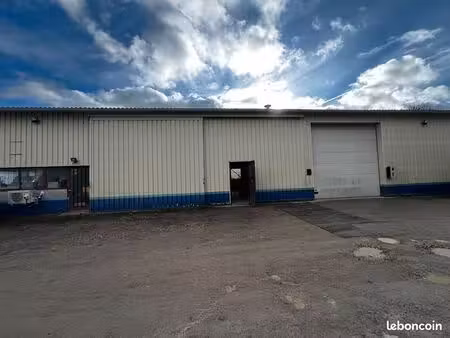 local 310 m² saint loup des vignes