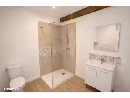 t3 2 chambres 59m2 centre ville