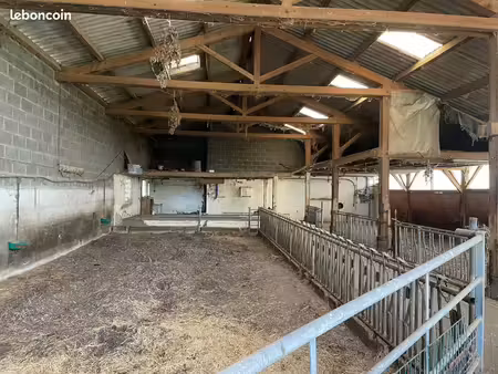 location ou vente hangar