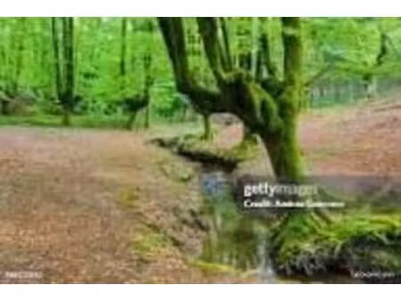 recherche terrain avec ruine a rénover don euro symbolique