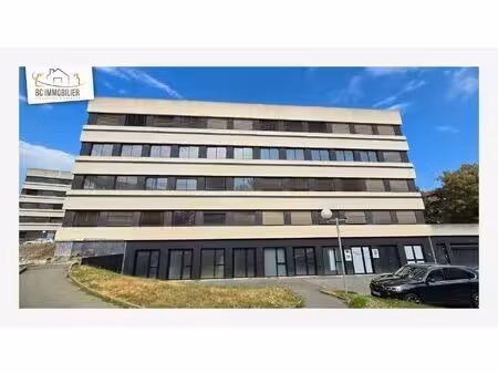 immobilier professionnel à vendre ferney-voltaire