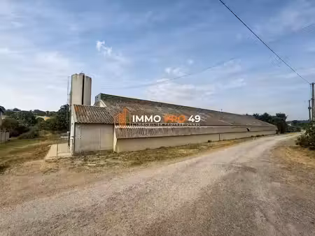 location locaux professionnels 0 pièces 800 m² à mauléon (79700)  500 €