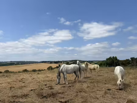domaine équestre bio avec installations complètes et hectares attenants