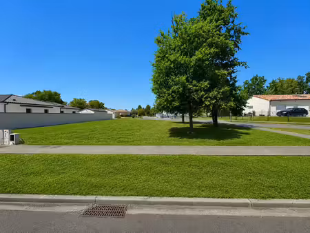 montauban 82000  fonneuve terrain constructible et viabilisé