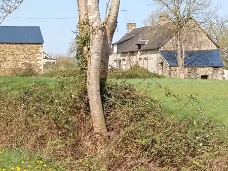 charmante fermette de 140m² eau edf et tae en place sur 4000m²  puits