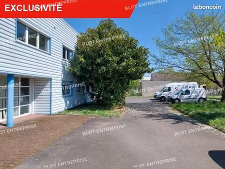 local d'activité 511 m²