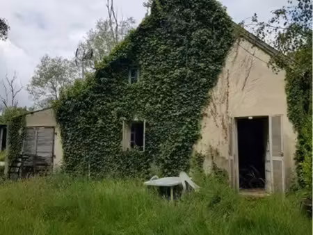 propriété à rénover 3 hectares