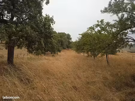 vends verger avec une cinquantaine d arbres fruitiers
