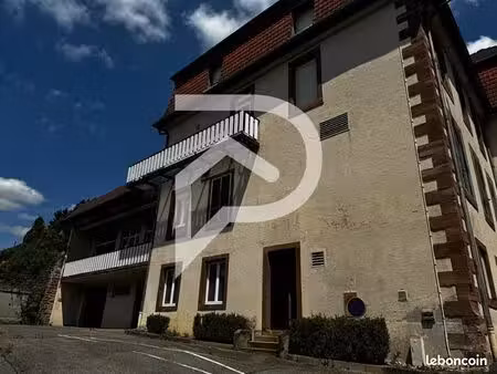 immeuble 2 155 m² walscheid