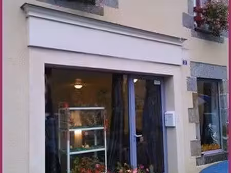 local commercial / professionnel