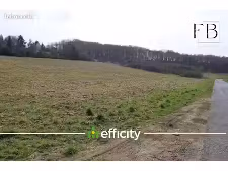 terrain 6 572 m² sainte genevieve