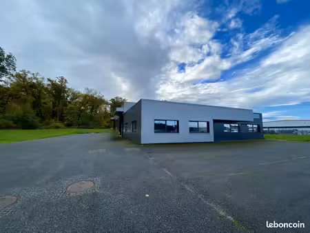 immeuble 650 m² sarreguemines