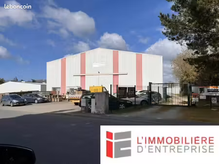 local d'activité 700 m²