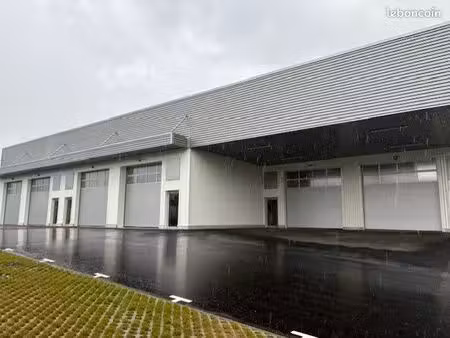 local 295 m² bayonne