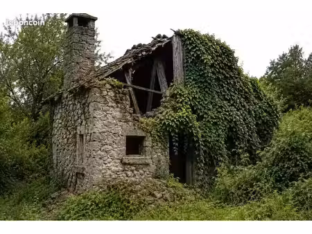 petite maison avec terrain