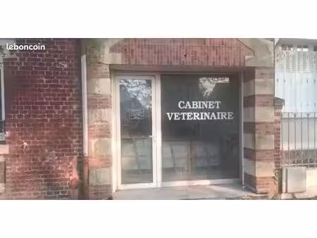 local commercial a louer