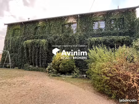 local 650 m² joze