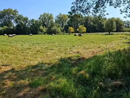 terrain agricole thuir